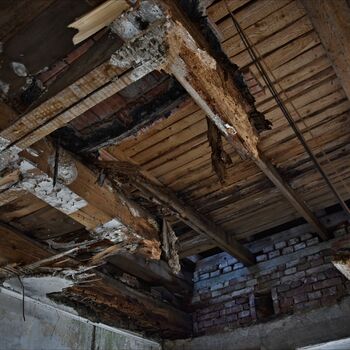 thatch roof protective covering covering beam building architecture