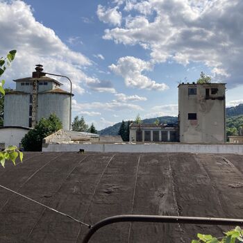 The abandoned sawmill