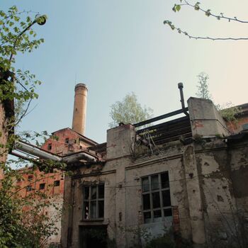 Sozialbrauerei Sozialbrauerei