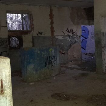 Calf (2025) Calf (2025)