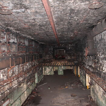 Maple 52 with swimming pool