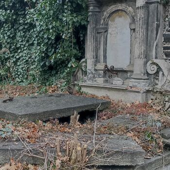 Friedhof 2022 Friedhof 2022