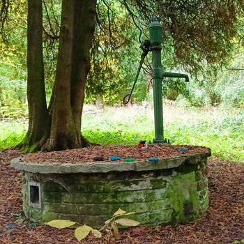 Genesungsheim Černovice