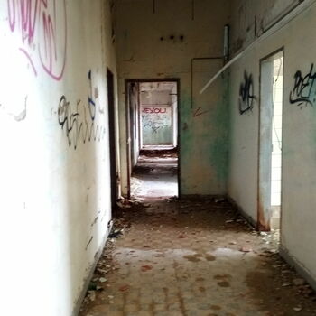 Buňka staré budova Buňka staré budova