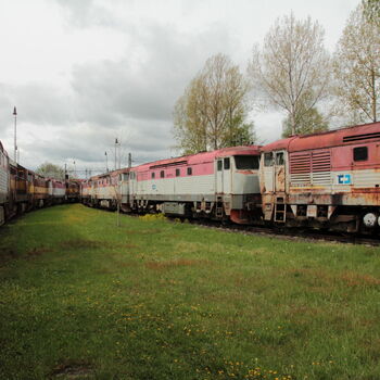 Cargo-Friedhof, nicht nur ein Bardot Cargo-Friedhof, nicht nur ein Bardot