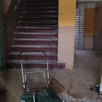 Institute for mentally handicapped children 🦋