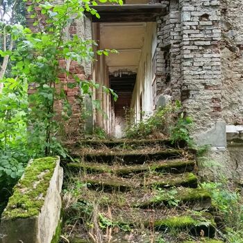 das Schloss, das jeder kennt...