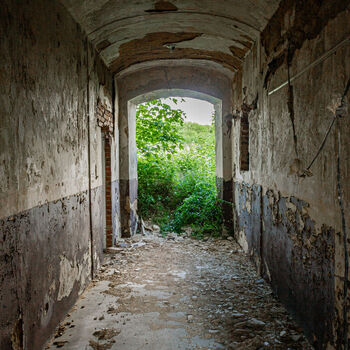 Landwirtschaftliche Fläche