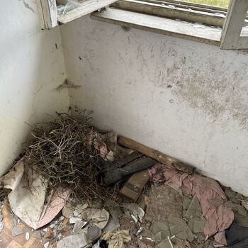 Abandoned Farmer's house