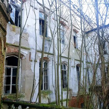 Vogelhäuschen Obdach Schutzüberzug Architektur Gebäude