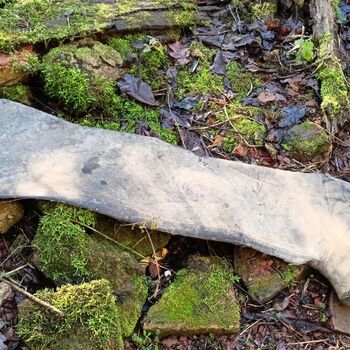 former grove house...