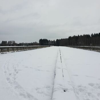 sníh počasí zima studené krajina Les