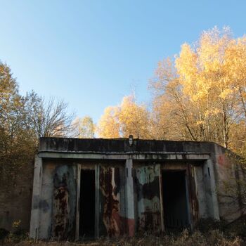 VEGA Group VEGA Group