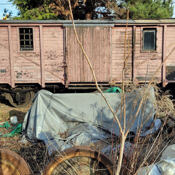 Pepo, das ist das Depot