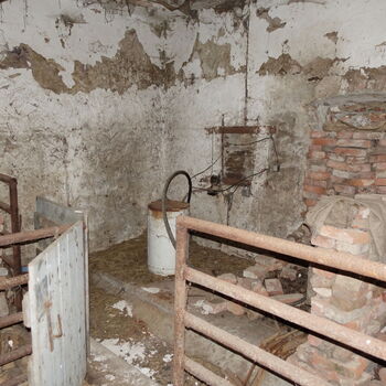 Už asi nevyjedou...