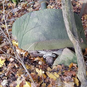 Urbex - Mühle bei V.......🐺🐺🐺🐺🐺🐺 Urbex - Mühle bei V.......🐺🐺🐺🐺🐺🐺