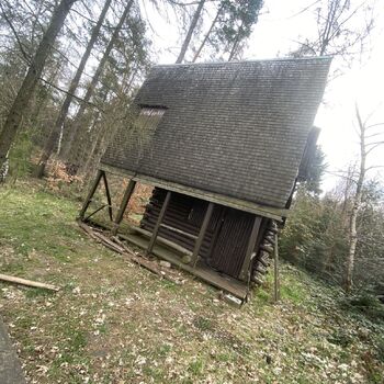 Cabin in the woods Cabin in the woods