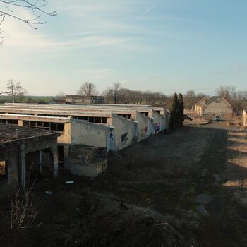 Riesiges Sparschwein