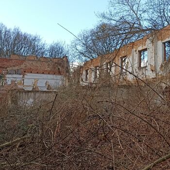 Lederfabrik und State Farm 2022