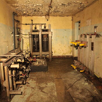 Maple 52 with swimming pool