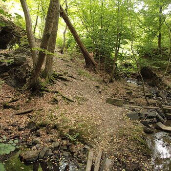 Mill from Snake river