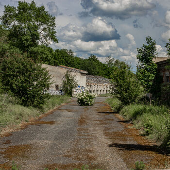 Landwirtschaftliche Fläche