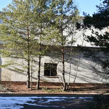 boathouse shed tree landscape boathouse shed tree landscape