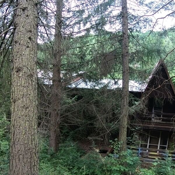 Urbex - Pioneer Camp J.....  SK