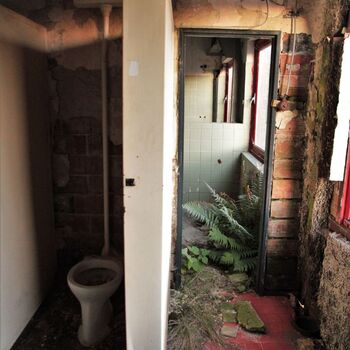 Die Dämmerung von Eleanor