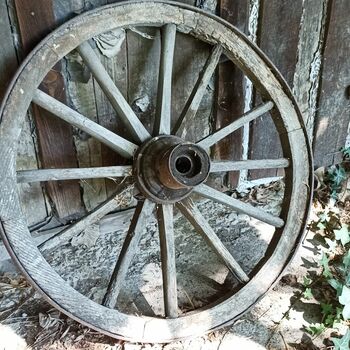 Abandoned House 2022