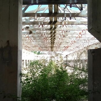 skleníkové budova struktura skleníkové budova struktura