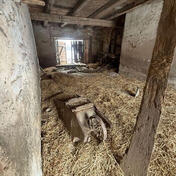 DDT, or the crocodile wasn't home