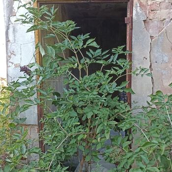 Agricultural area 2023