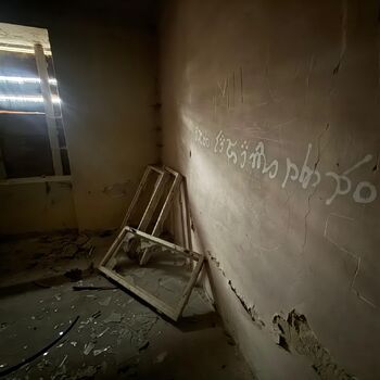 Aunt Omega, or I Believe in Fairies