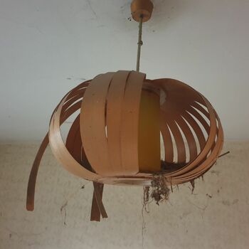 Little House "2" 2021