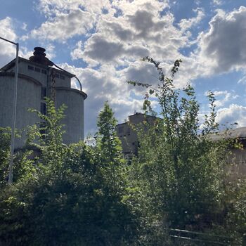 The abandoned sawmill