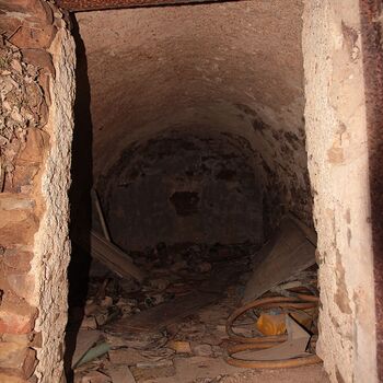 Mill from Snake river