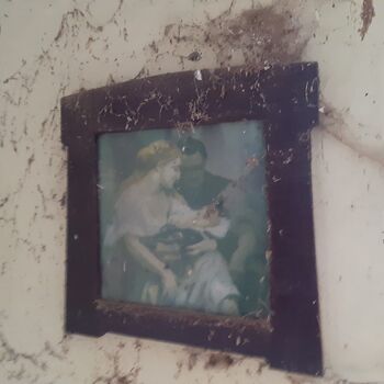 House in the development