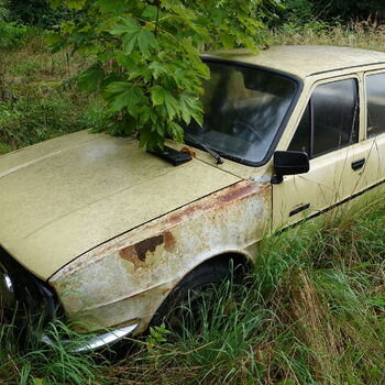 Už asi nevyjedou...