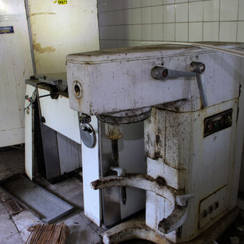 Schimmel für das Mittagessen