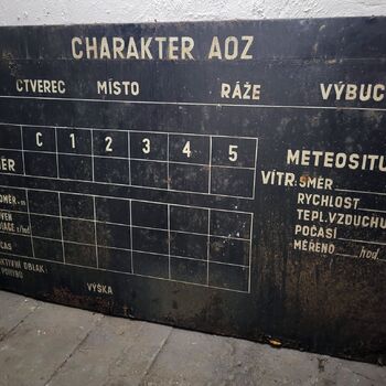 Ein Welpe mit Rüssel