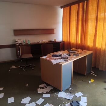 Die Schönheit der österreichischen hor🇦🇹🏔️❤️ Die Schönheit der österreichischen hor🇦🇹🏔️❤️