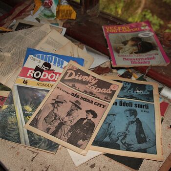 Mill from Snake river