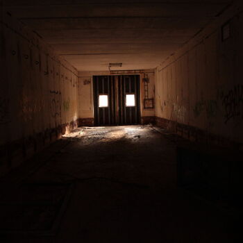 VEGA Group VEGA Group