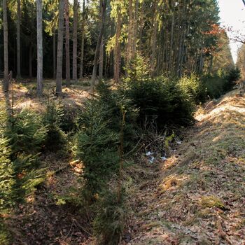 Trať nad kterou zlomil stát hůl Trať nad kterou zlomil stát hůl