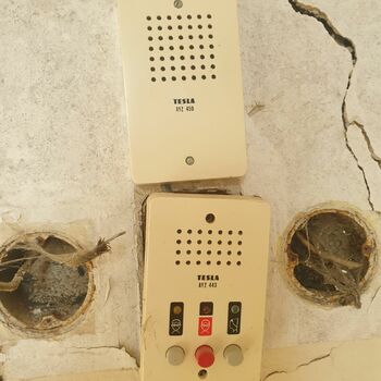 buzzer signaling device device