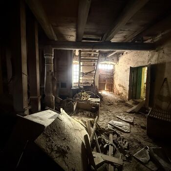 DDT, or the crocodile wasn't home