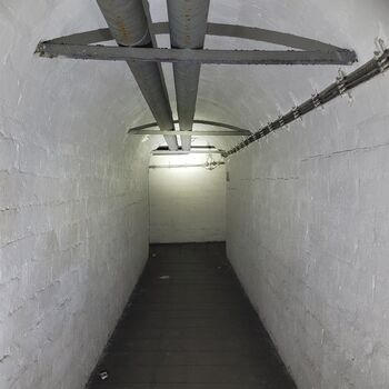 Ein Welpe mit Rüssel