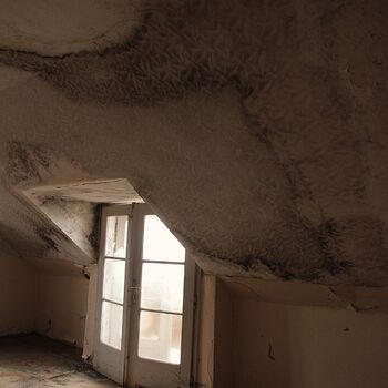 Pneumologická klinika