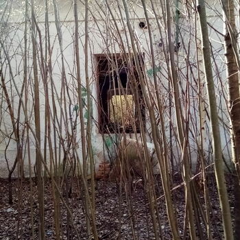 Hospodářský dvůr 2021